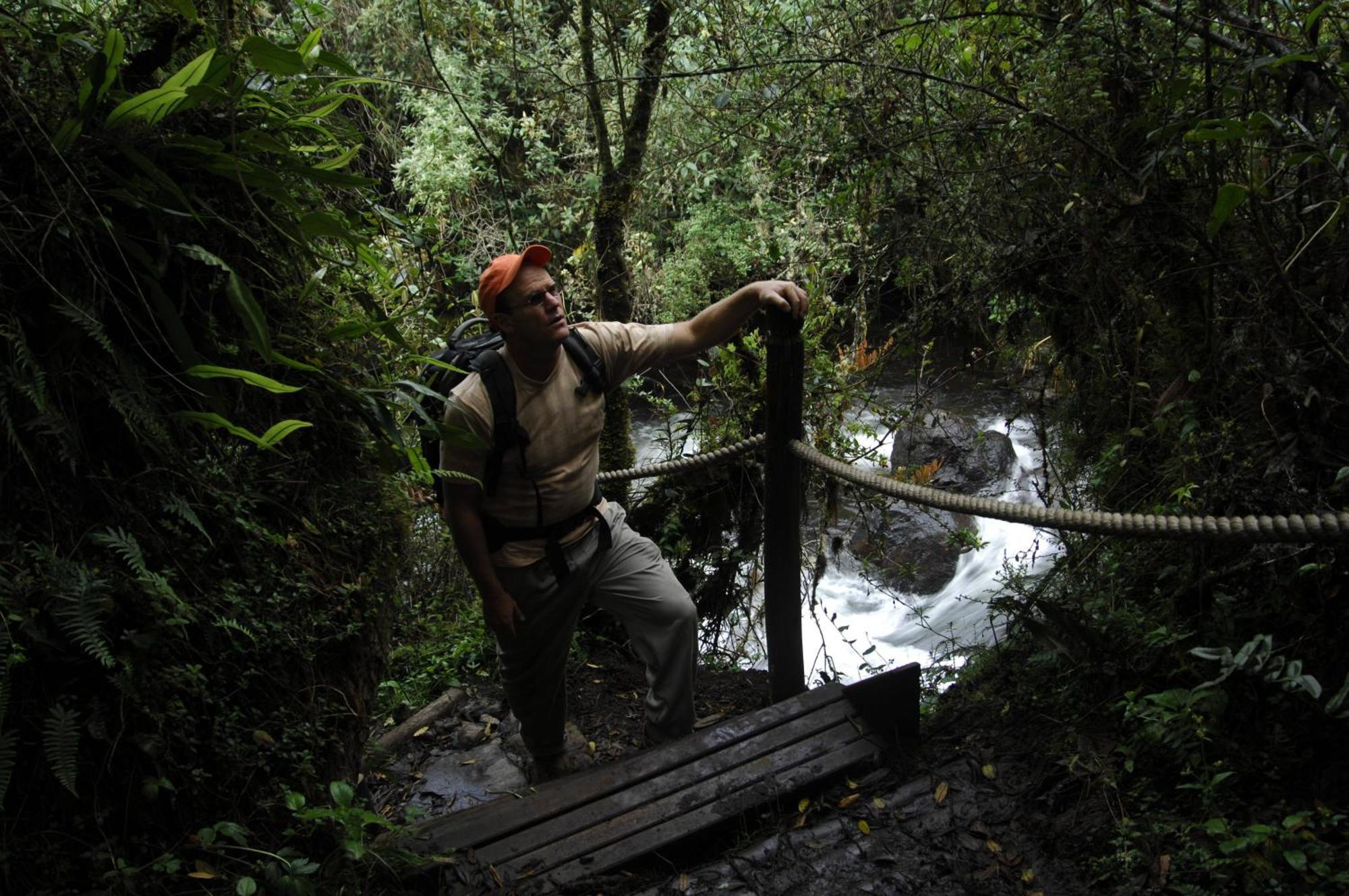 Termas De Папалакта Екстериор снимка A bridge in the rainforest